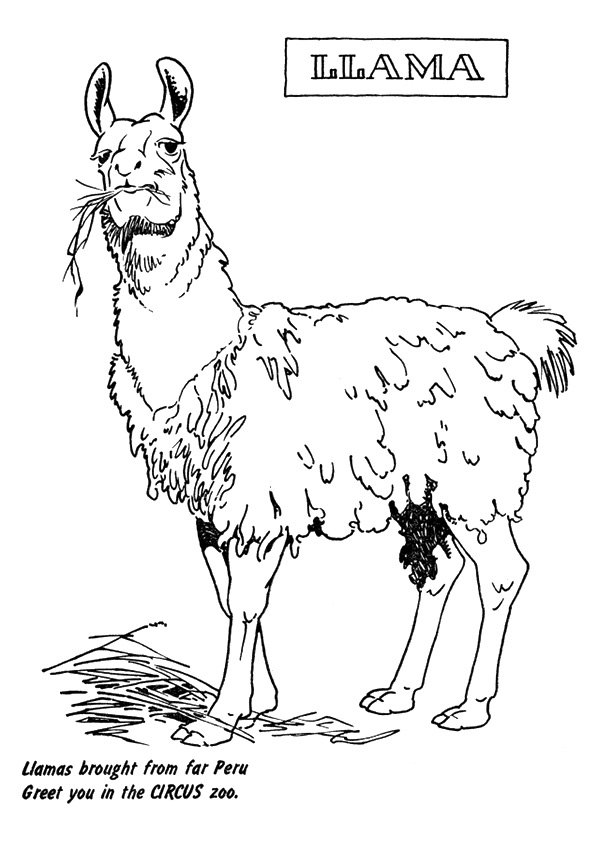 Plansa de colorat cu Lama 11 3